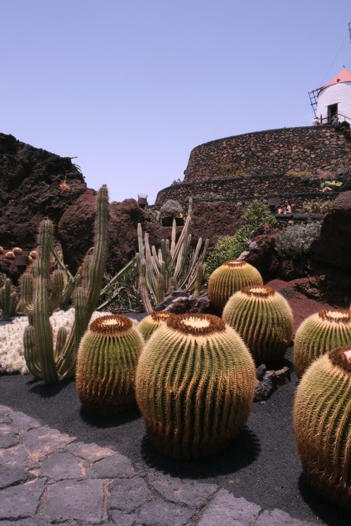 Jardin de Cactus,Lanzarote